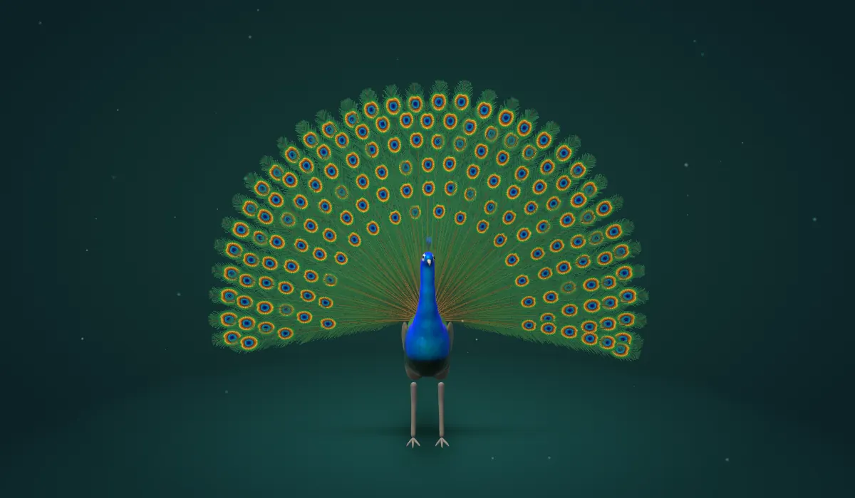 A peacock facing the viewer with its tail fanned open into a half circle of blue-and-gold eyespots, in the interactive 3D model.