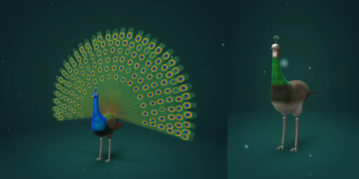 Two 3D renders side by side: a blue peacock with its fan open on the left, and a smaller peahen with a green neck and brown body on the right.