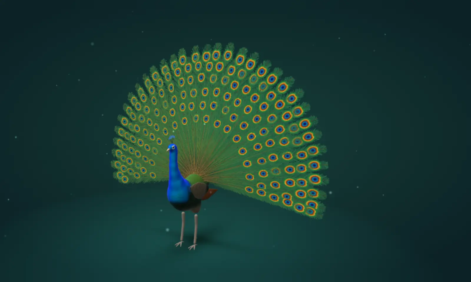Peacock 3D Model: interactive 3D model of the Indian peafowl
