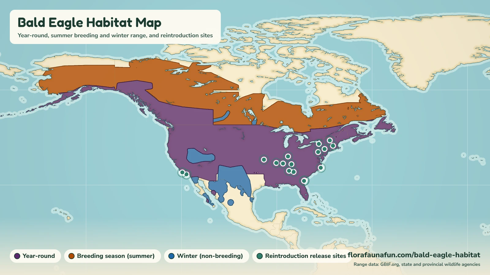 Bald eagle habitat map of North America showing year-round range in purple, summer breeding range in orange, winter range in blue and teal pins at reintroduction release sites