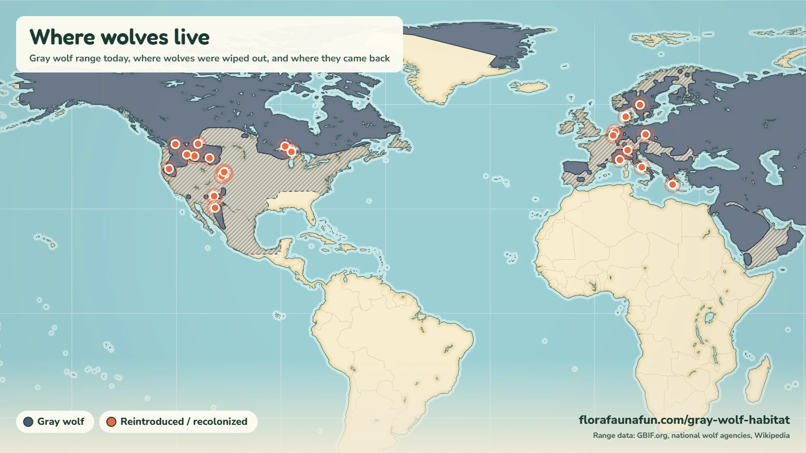Gray wolf habitat map showing the current range of Canis lupus across North America, Europe and Asia, with areas where wolves have disappeared and reintroduction sites marked