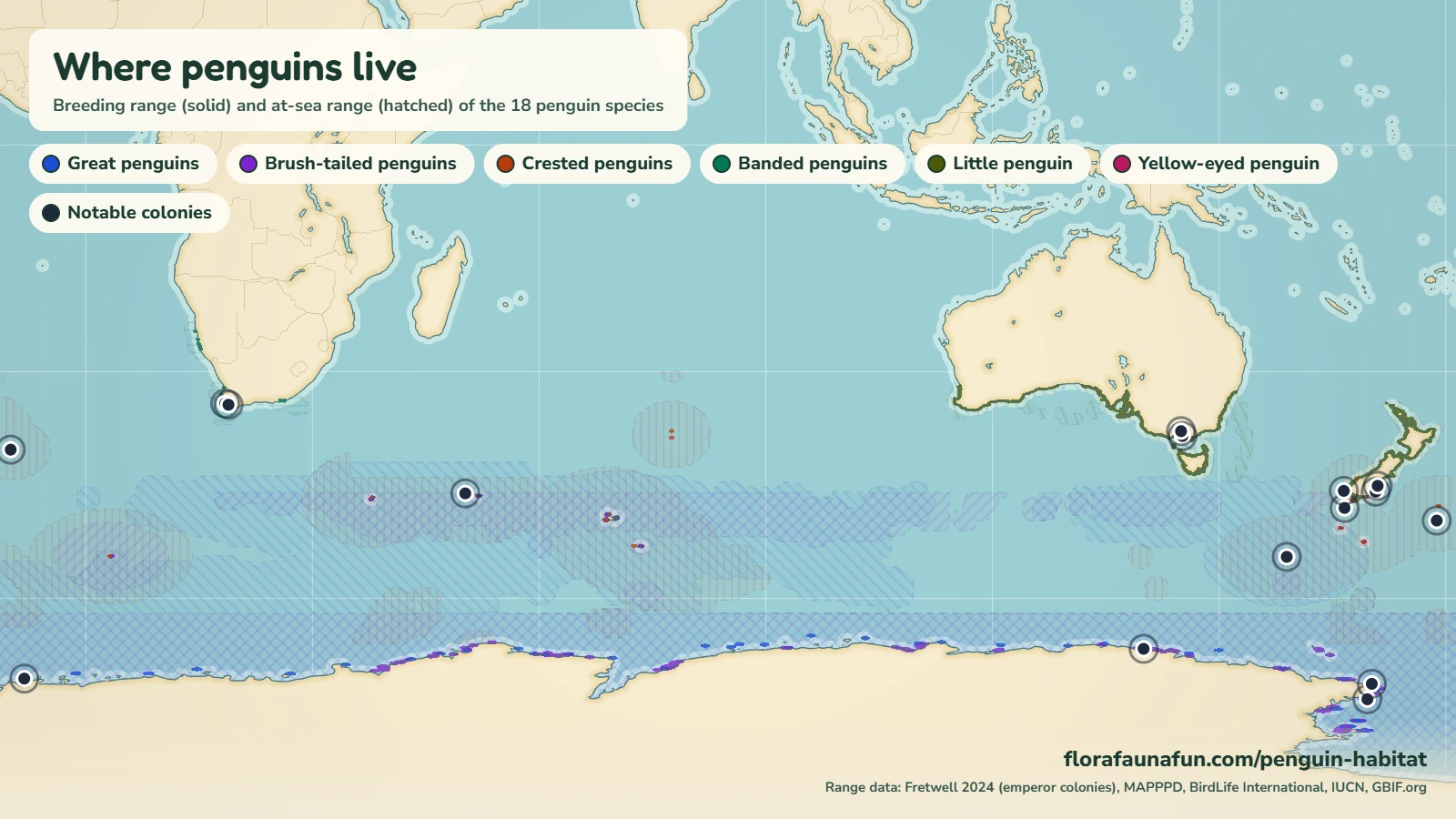 Penguin habitat map showing the breeding range and at-sea range of all six penguin groups across Antarctica, the Southern Ocean, South America, southern Africa, Australia and New Zealand, with notable colonies marked