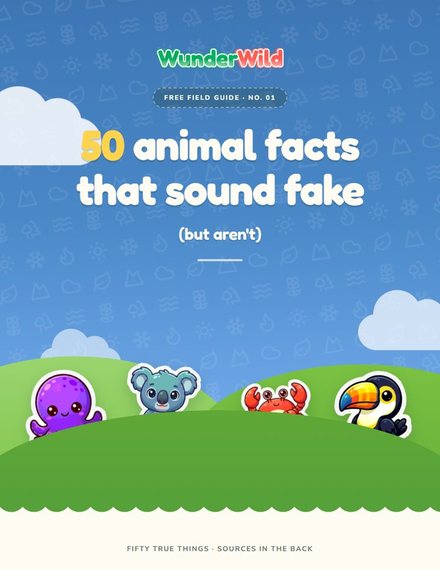 Cover of the guide: 50 Animal Facts That Sound Fake, But Aren&rsquo;t
