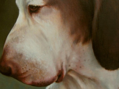 Bracco Italiano
