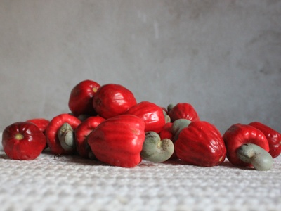 Cerrado Cashew