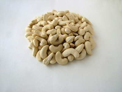 Dwarf Cashew