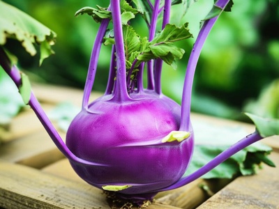 Red Kohlrabi