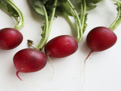 Red Radish