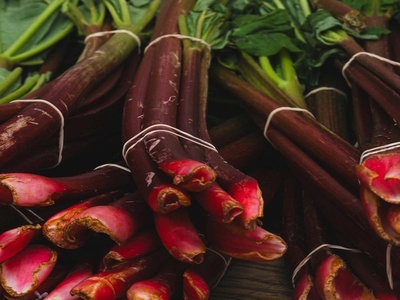 Red Rhubarb