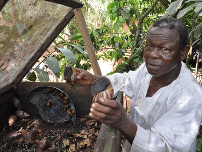 African giant snail
