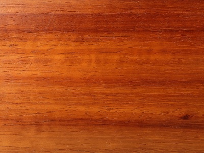 African Padauk