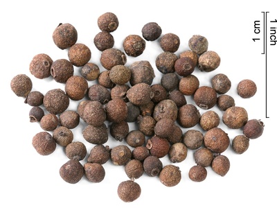 Allspice