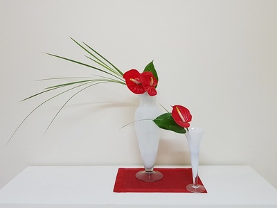 Anthurium