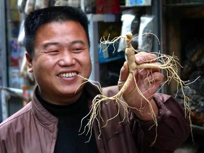 Asian ginseng