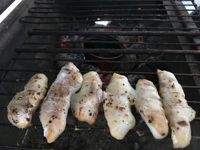 Atlantic cod