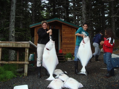 Atlantic halibut