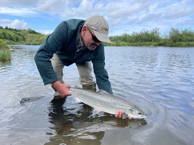Atlantic salmon