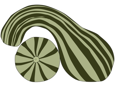 Ayote