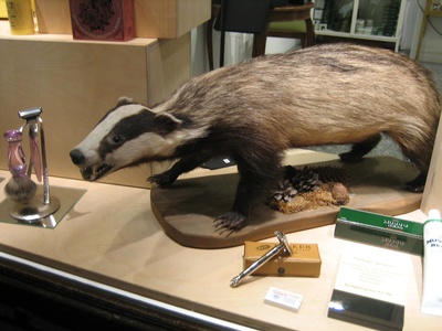Badger