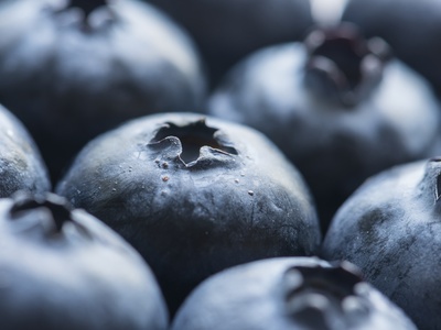 Bilberry
