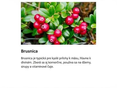 Brusnica