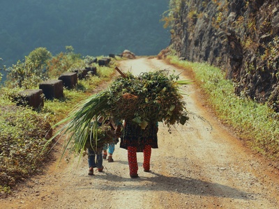 Carrying Grass