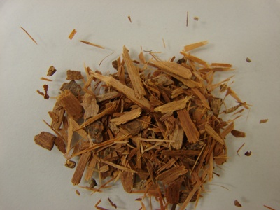 Catuaba