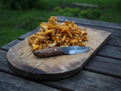 Chanterelle
