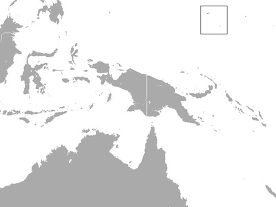 Chuuk Flying Fox
