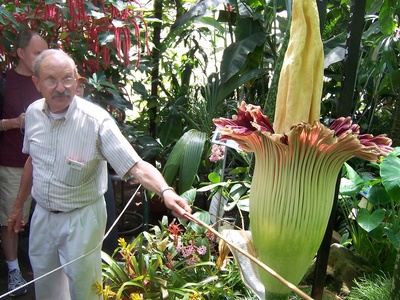 Corpse Flower