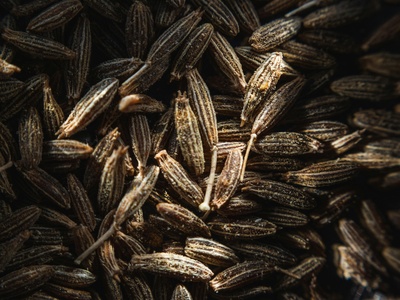Cumin