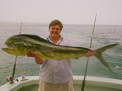 Dolphin fish