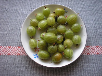 Egreš