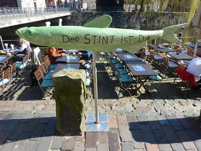 European smelt