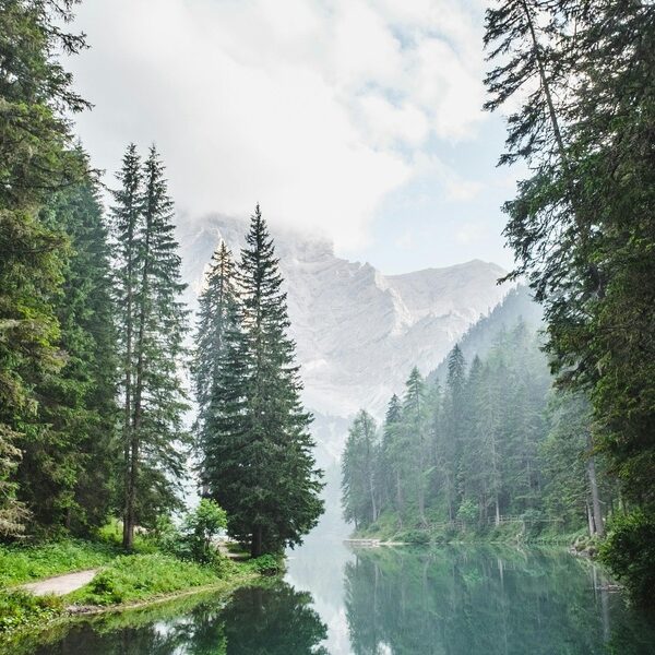 featured_image