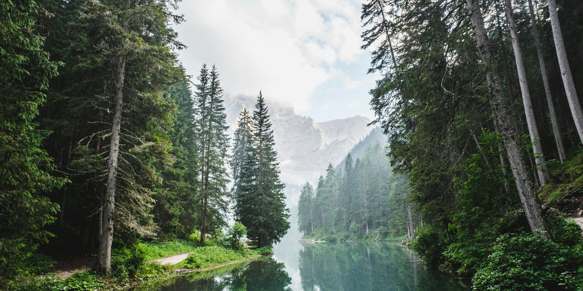 featured_image