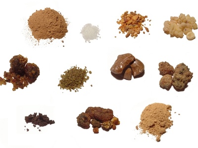 Frankincense (Papyrifera)