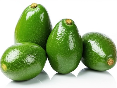 Guatemalan Avocado