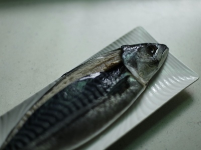 Japanese jack mackerel