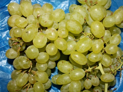Kandahar Grape