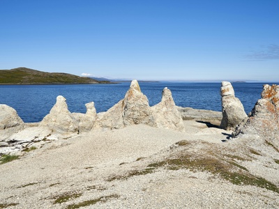 Lake Baikal Sand-Sculpin