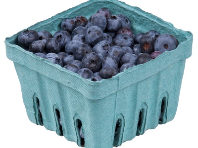 Lowbush blueberry