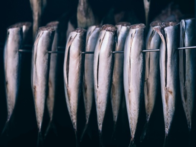 Mackerel scad