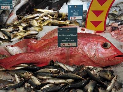 Malabar snapper
