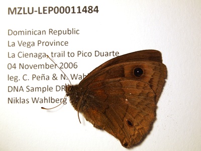 Pico Duarte Calisto