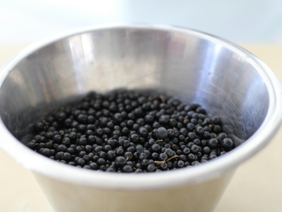 Privet