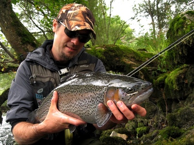 Rainbow trout