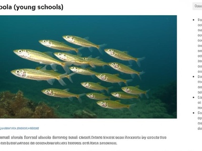 Rastrineobola (young schools)