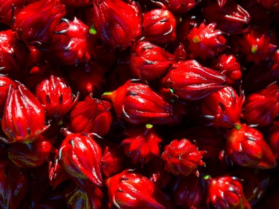 Roselle