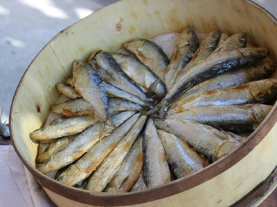 Round sardinella